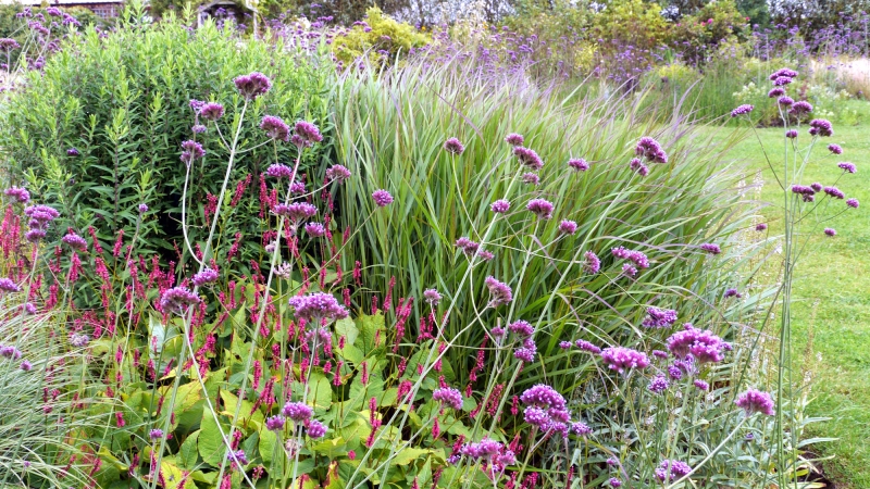 Bridge Nursery